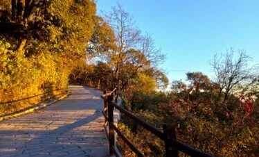 Mussoorie: The Ultimate Destination for Relaxation and Adventure
