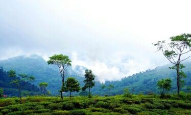 Explore the Serenity of the Hills: Gangtok, Darjeeling, Pelling Tour