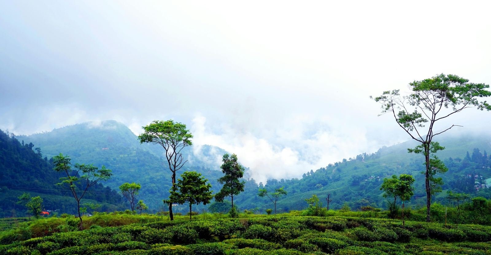 Explore the Serenity of the Hills: Gangtok, Darjeeling, Pelling Tour