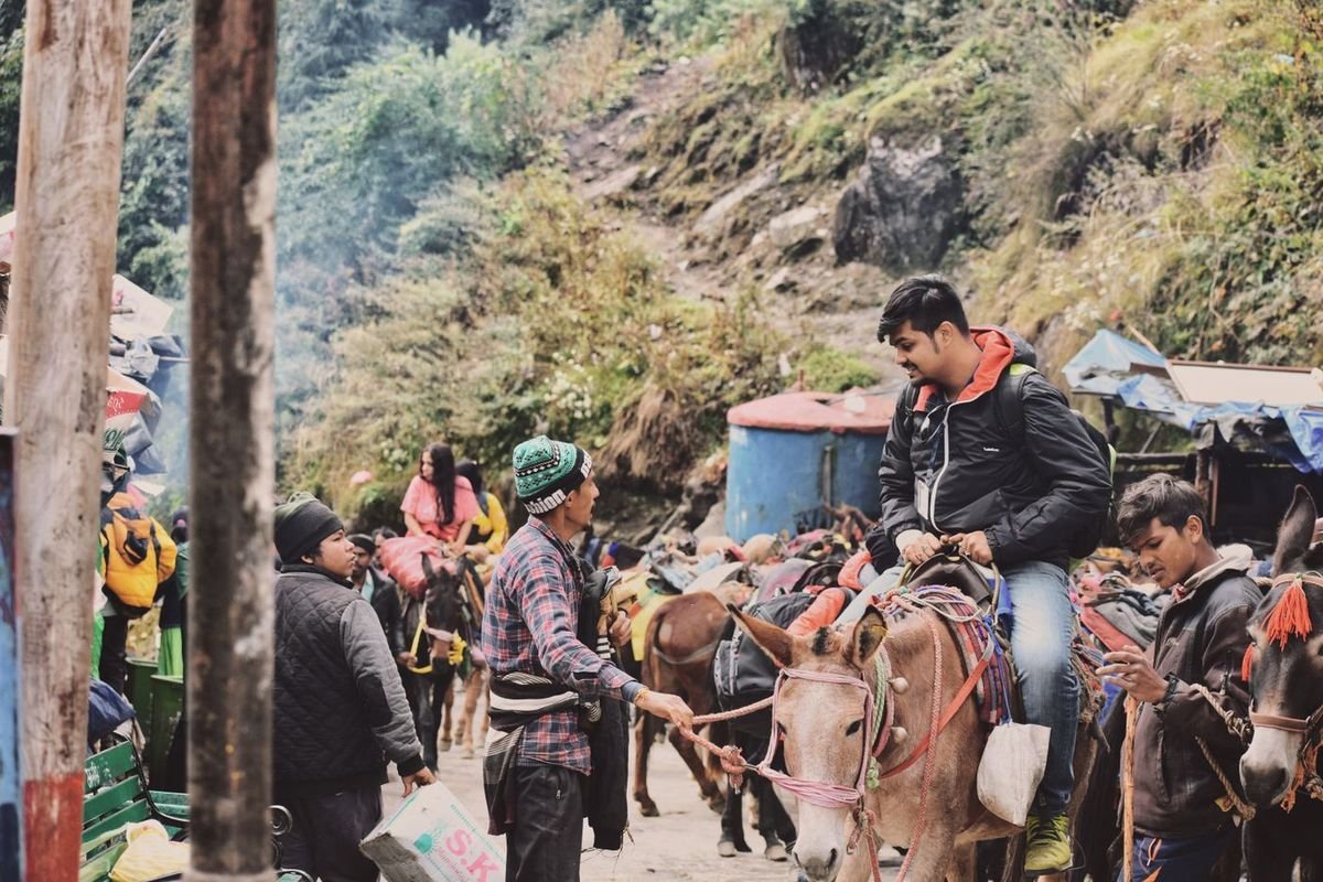 Ponies on the Kedarnath trek, an extra Char Dham Yatra cost