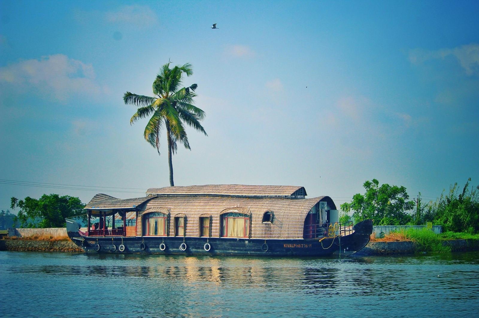Kerala Dreams: A Perfect Blend of Nature and Culture