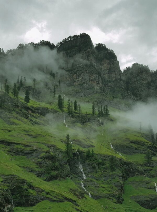 pexels-saif71-7086906