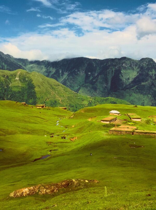 pexels-photonova-2907578