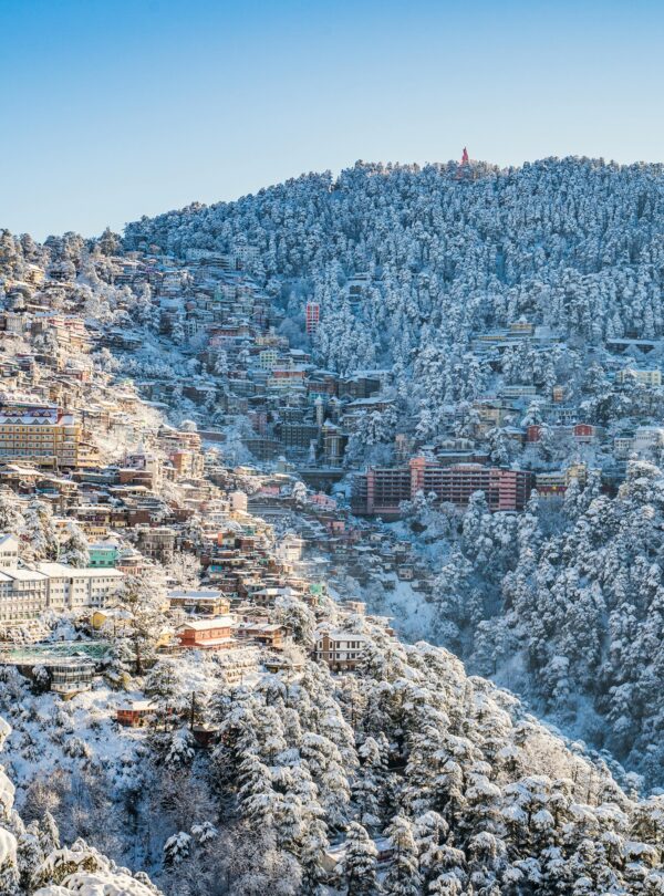 pexels-shalenderkumar-3574440